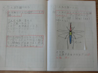 CIMG8873