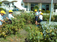 DSCF0071