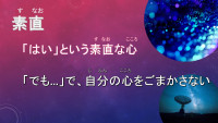 スライド11