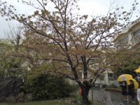 4.15理科４年