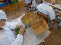 DSCN8826