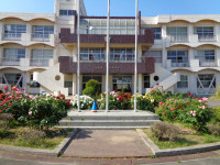 DSC06491