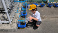 ２年生_写真_川久保侑亮_しょうま教材
