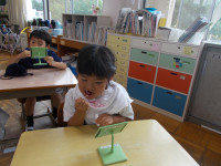 DSCN9029
