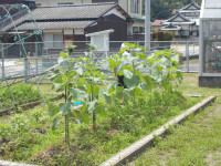 DSCN9148