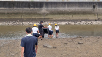 PXL_20260707_021452929