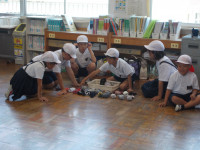 DSCN9215