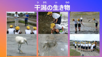 スライド13