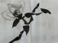CIMG0617