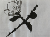 CIMG0618