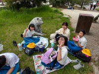 ５・６年生_学活_曽我部慶太_島四国遠足 (27)